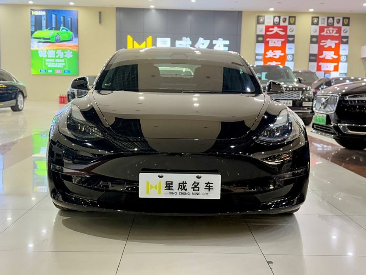 特斯拉 Model Y  2021款 Performance高性能全輪驅(qū)動版圖片