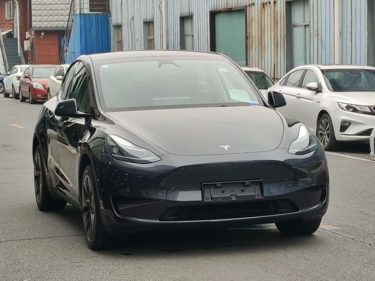 特斯拉 Model Y  2024款 Performance高性能版圖片