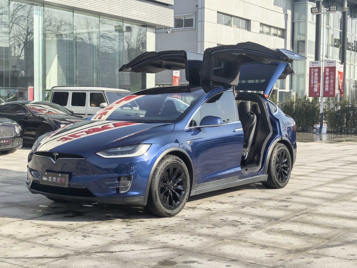 特斯拉 Model X  2017款 Model X 100D 長續(xù)航版圖片