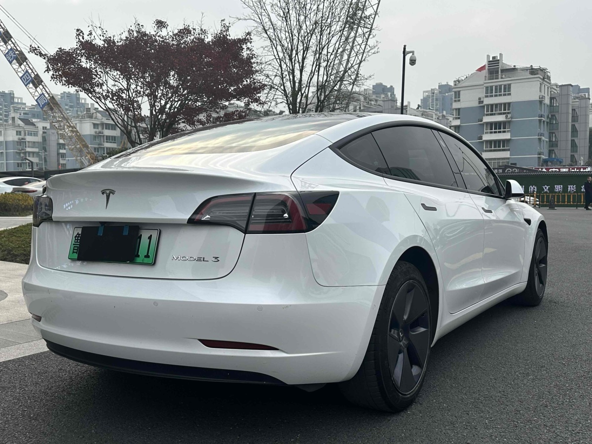 特斯拉 Model 3  2021款 標(biāo)準(zhǔn)續(xù)航后驅(qū)升級版 3D6圖片