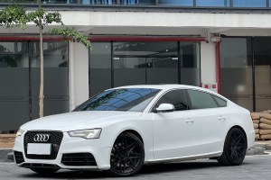 奥迪S5 奥迪 S5 3.0T Sportback