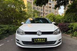 高爾夫 大眾 230TSI 自動(dòng)豪華型