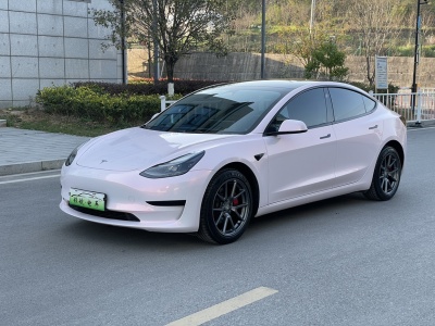 2022年3月 特斯拉 Model 3 后輪驅(qū)動版圖片