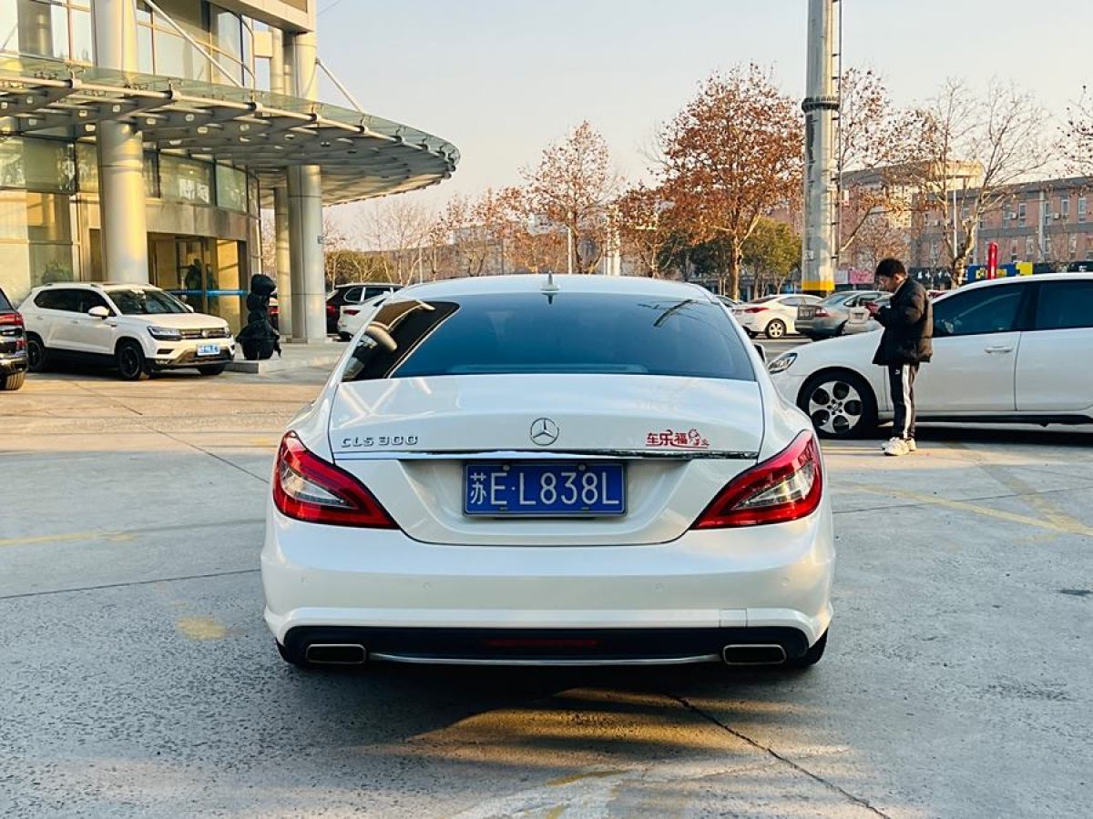 奔馳 奔馳CLS級  2012款 CLS 300 CGI圖片