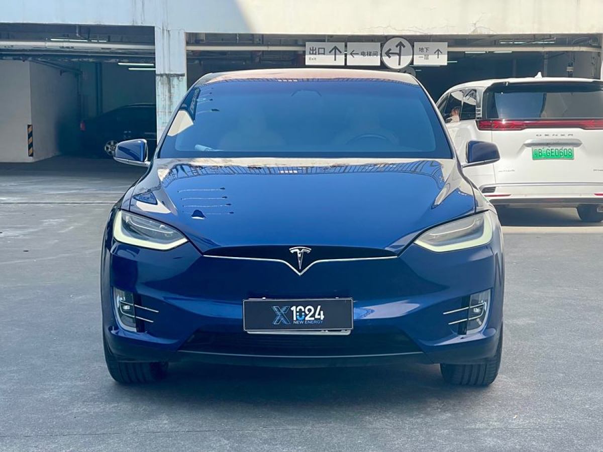 特斯拉 Model X  2020款 長(zhǎng)續(xù)航升級(jí)版圖片