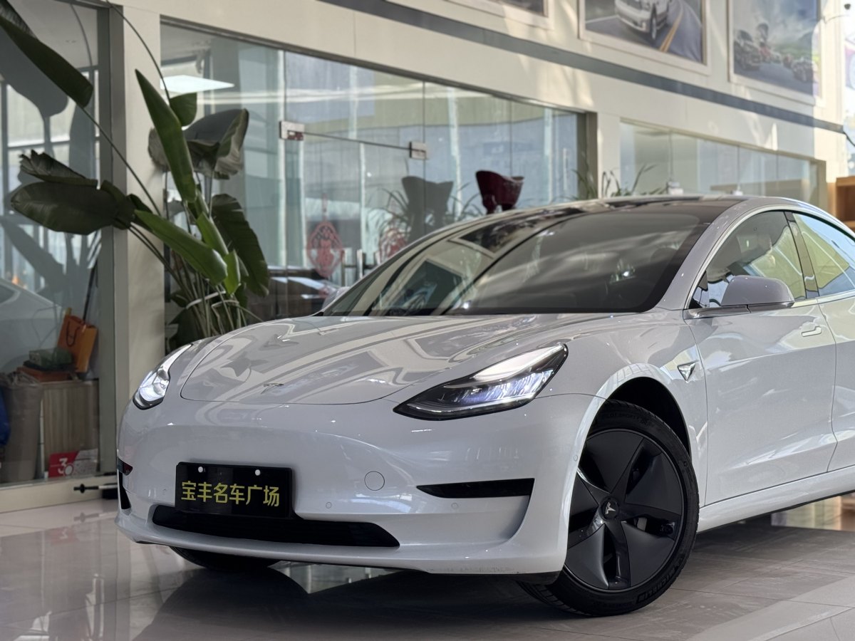 特斯拉 Model 3  2019款 標(biāo)準(zhǔn)續(xù)航后驅(qū)升級版圖片