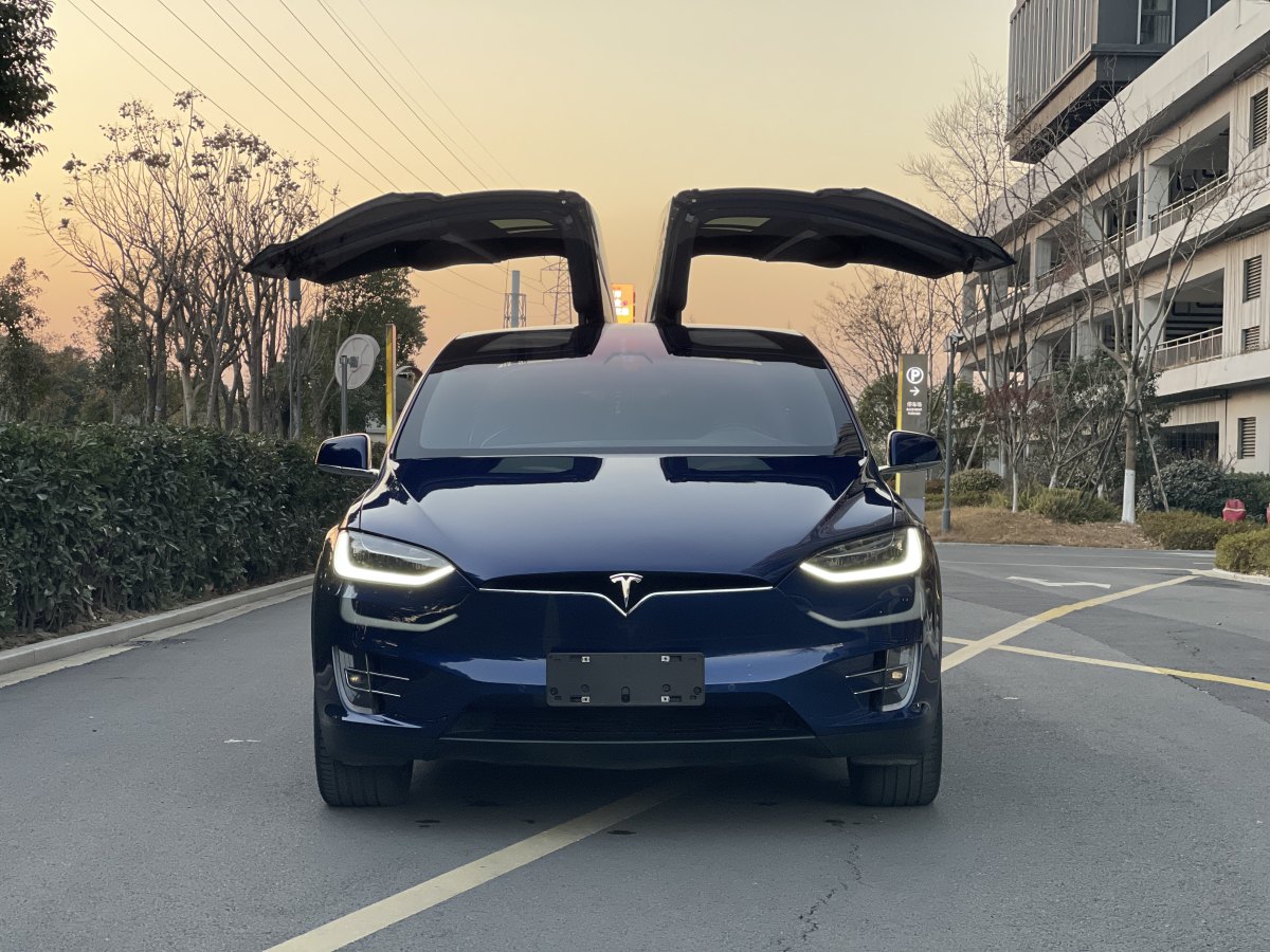 特斯拉 Model X  2017款 Model X 100D 長續(xù)航版圖片