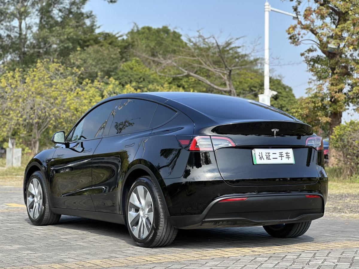 特斯拉 Model 3  2020款 改款 長續(xù)航后輪驅(qū)動版圖片