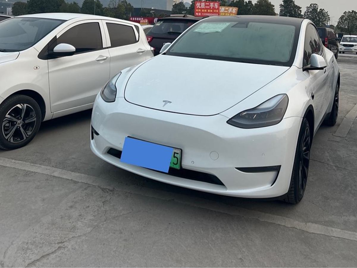 特斯拉 Model Y  2021款 長續(xù)航全輪驅(qū)動版 3D7圖片