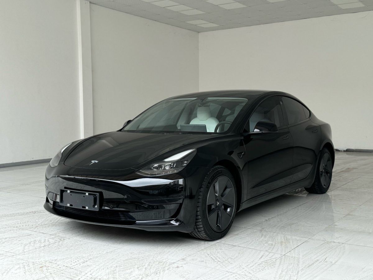 特斯拉 Model 3  2019款 標(biāo)準(zhǔn)續(xù)航后驅(qū)升級(jí)版圖片