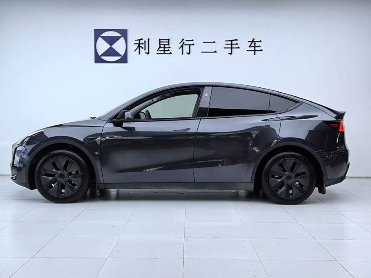 特斯拉 Model Y  2020款 改款 長續(xù)航后輪驅(qū)動版圖片