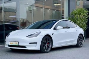 Model 3 特斯拉 改款 Performance高性能全輪驅(qū)動(dòng)版