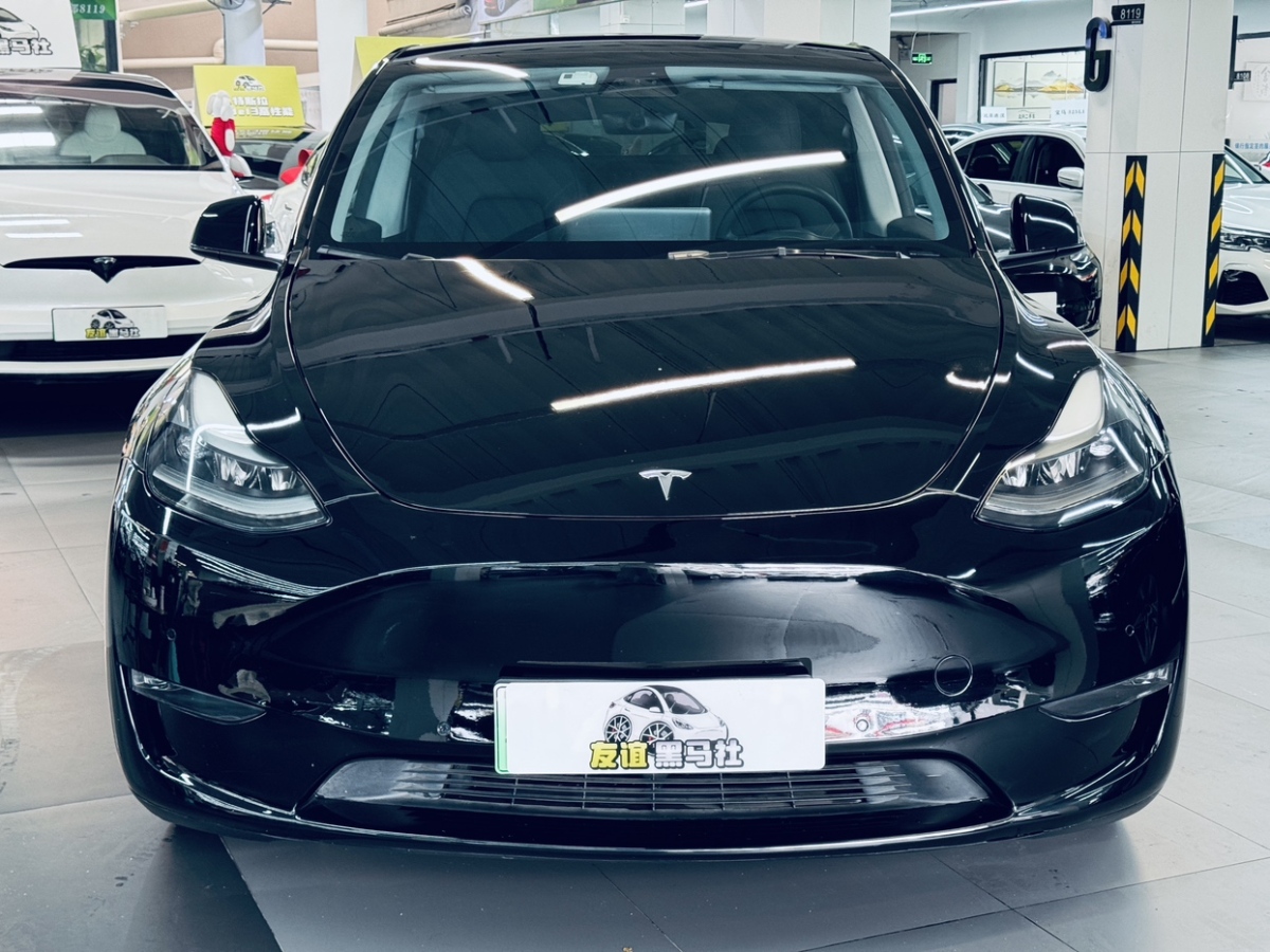 2021年10月特斯拉 Model 3  2021款 長續(xù)航全輪驅動版