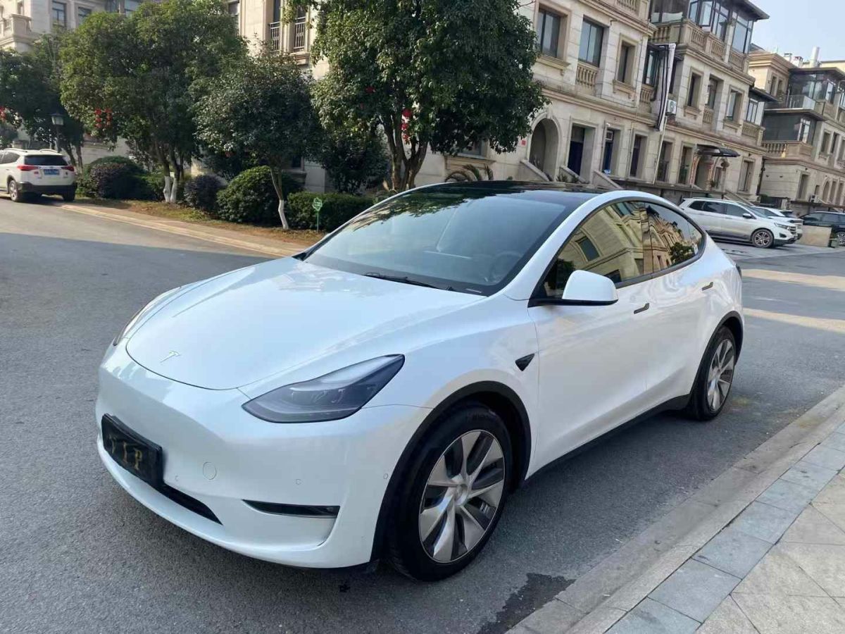 特斯拉 Model 3  2022款 Performance高性能全輪驅(qū)動(dòng)版圖片