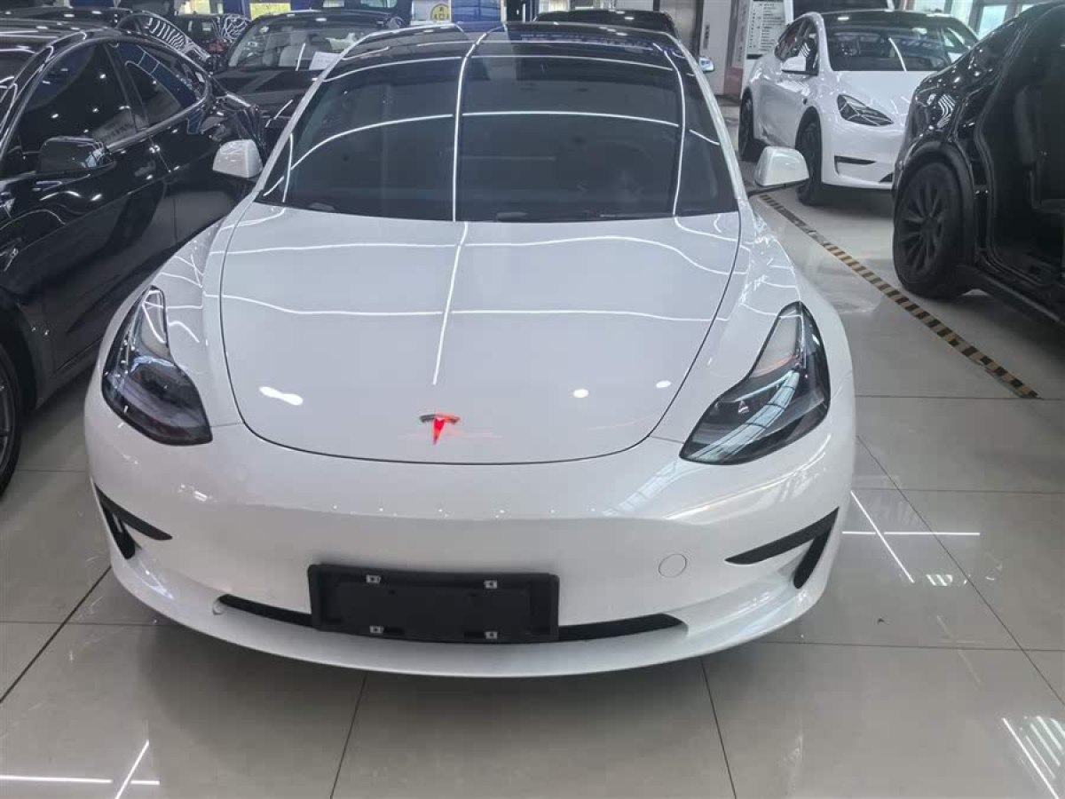 特斯拉 Model 3  2022款 后輪驅(qū)動(dòng)版圖片