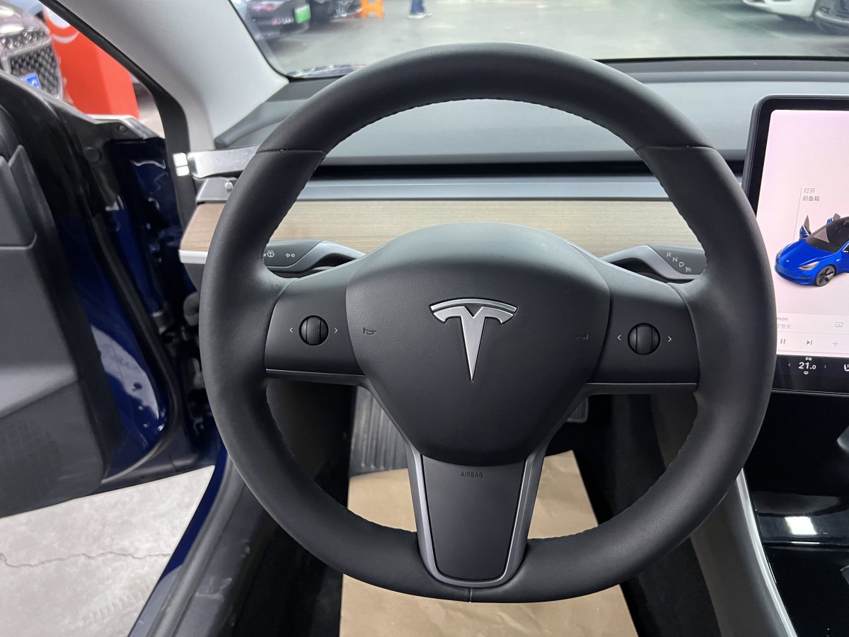 特斯拉 Model 3  2019款 標準續(xù)航后驅升級版圖片