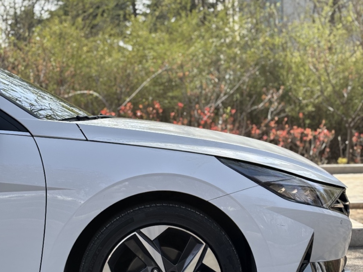 現(xiàn)代 伊蘭特  2023款 240TGDi DCT N Line LUX尊貴版圖片