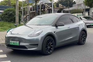 Model 3 特斯拉 改款 长续航后轮驱动版