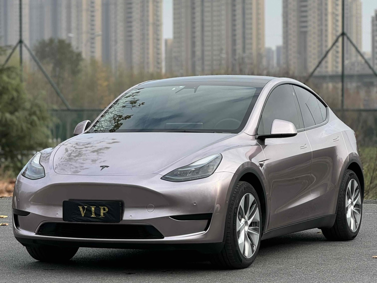 特斯拉 Model Y  2022款 后轮驱动版图片