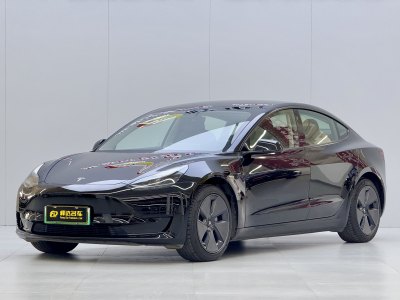 2021年1月 特斯拉 Model 3 標(biāo)準(zhǔn)續(xù)航后驅(qū)升級版圖片