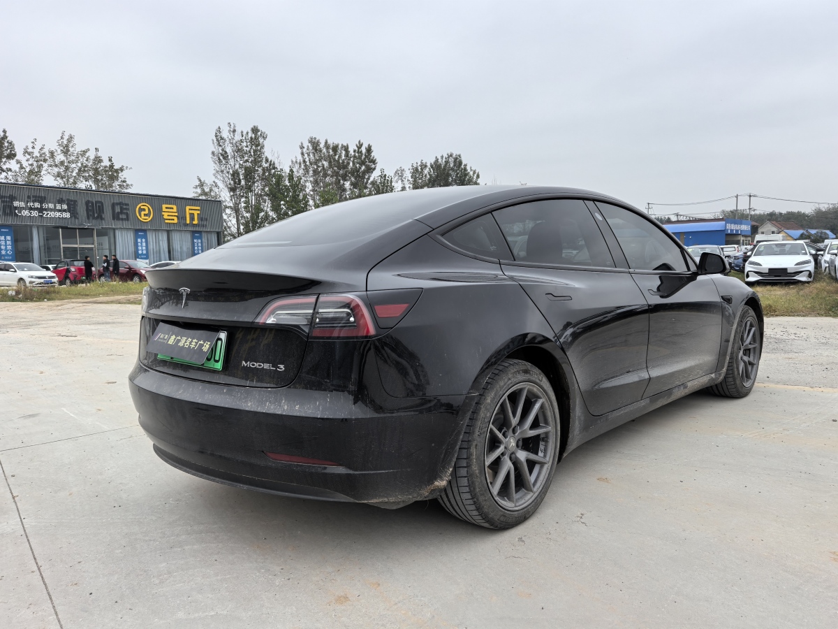 特斯拉 Model Y  2020款 改款 標(biāo)準(zhǔn)續(xù)航后驅(qū)升級版圖片