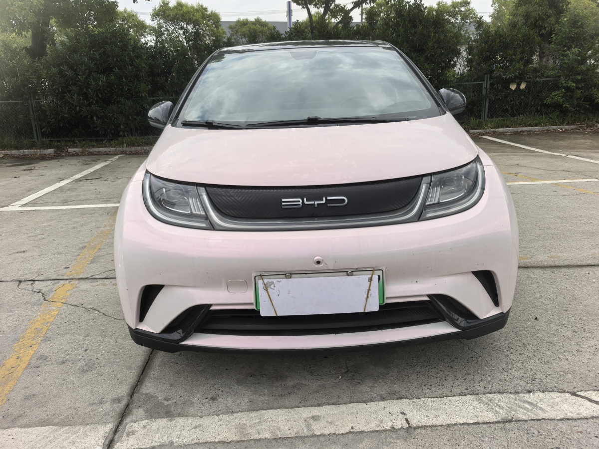 比亞迪 海豚  2021款 405km 時(shí)尚版圖片