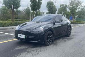 Model Y 特斯拉 后轮驱动版