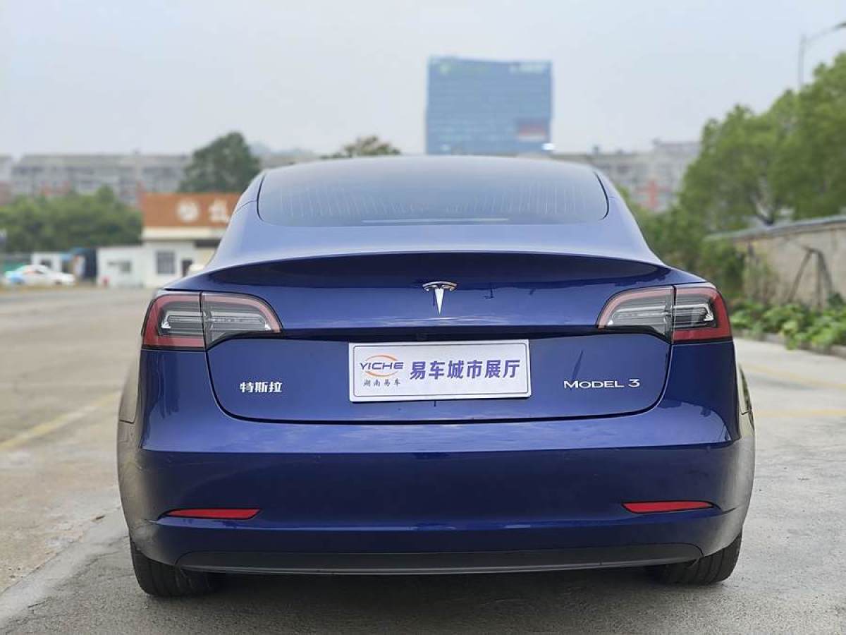 特斯拉 Model 3  2020款 改款 標(biāo)準(zhǔn)續(xù)航后驅(qū)升級(jí)版圖片