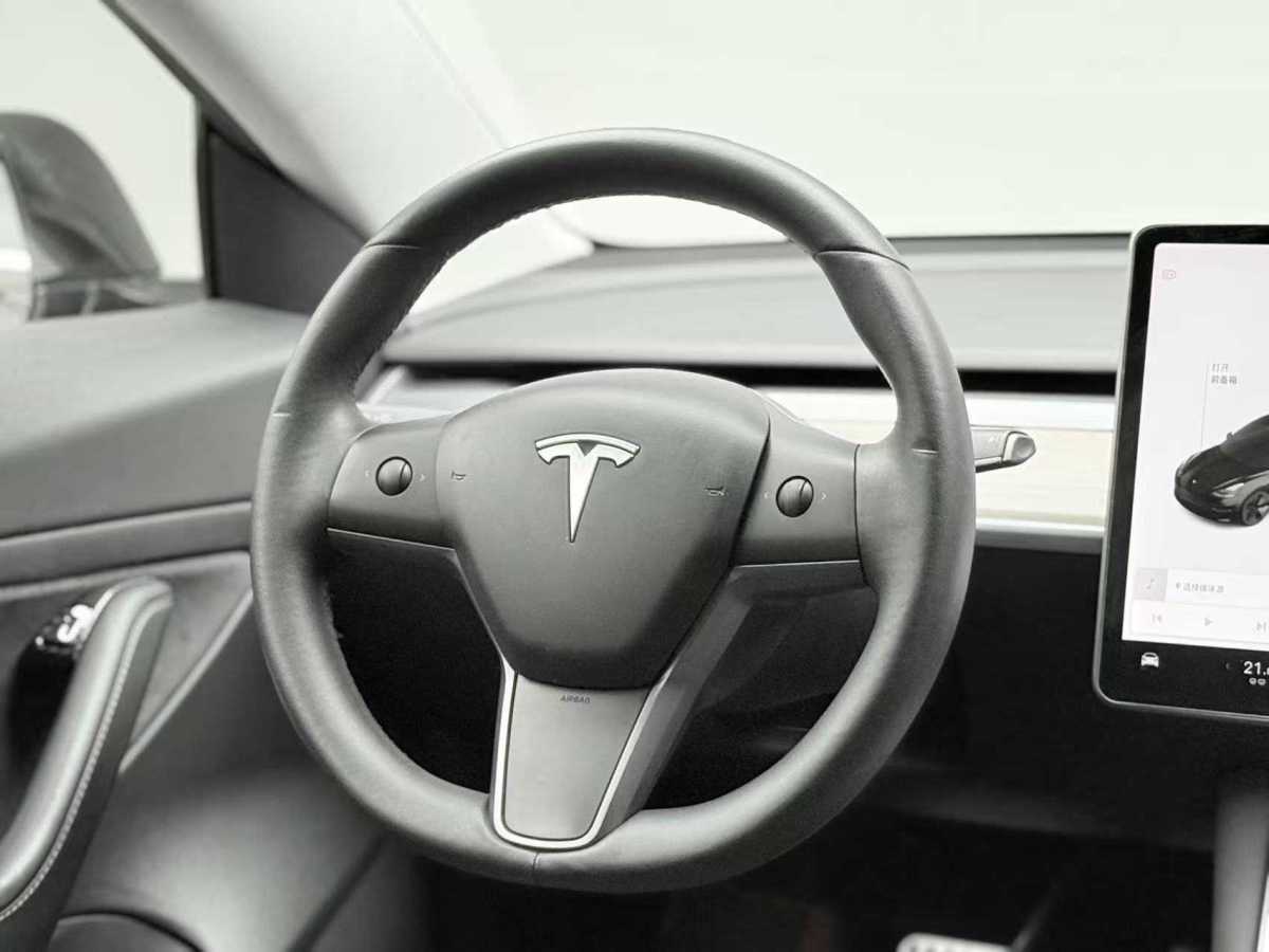 特斯拉 Model 3  2020款 改款 標準續(xù)航后驅(qū)升級版圖片