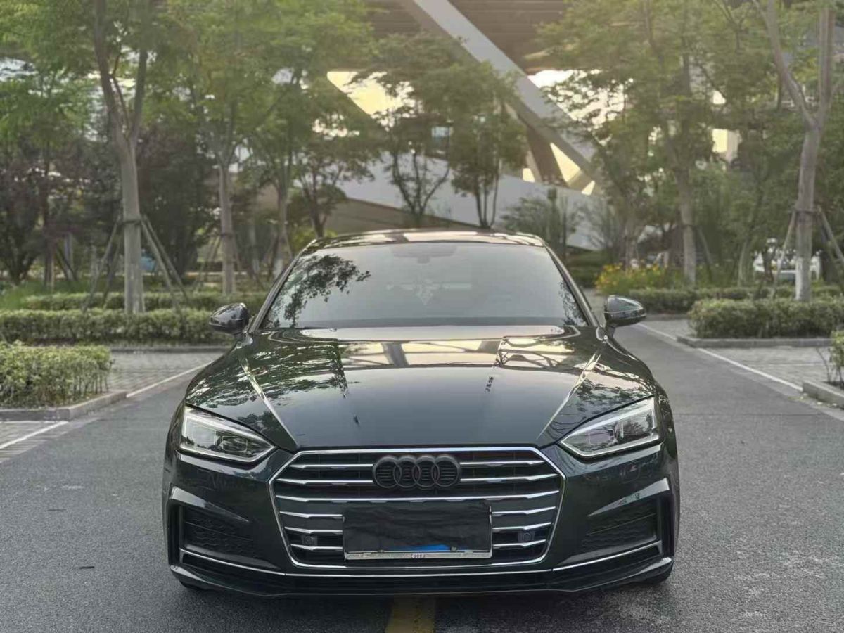 奧迪 奧迪A6L新能源  2018款 40 e-tron圖片