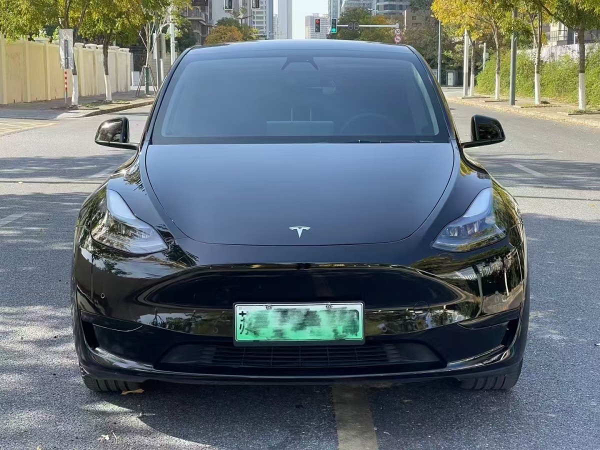 特斯拉 Model 3  2020款 改款 長續(xù)航后輪驅(qū)動版圖片