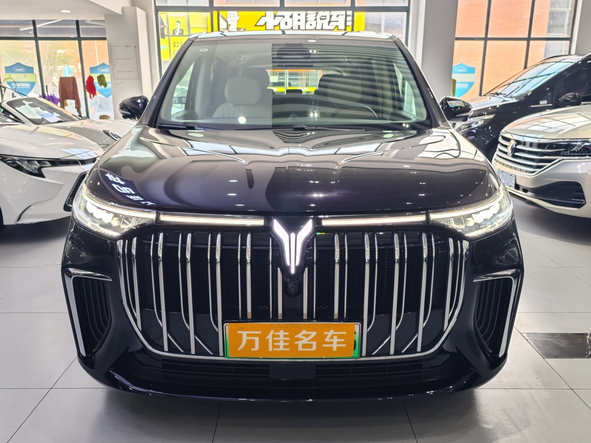 嵐圖 夢想家  2024款 PHEV 超長續(xù)航旗艦版圖片