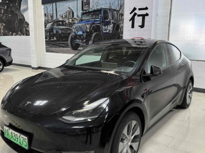 2021年11月 特斯拉 Model Y 改款 标准续航后驱升级版图片