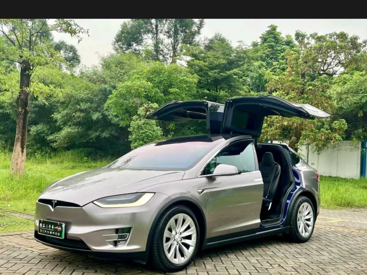 特斯拉 Model X  2020款 Performance 高性能版圖片