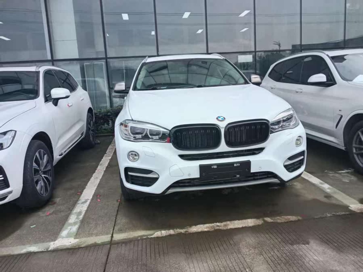寶馬 寶馬X6  2018款 xDrive28i圖片