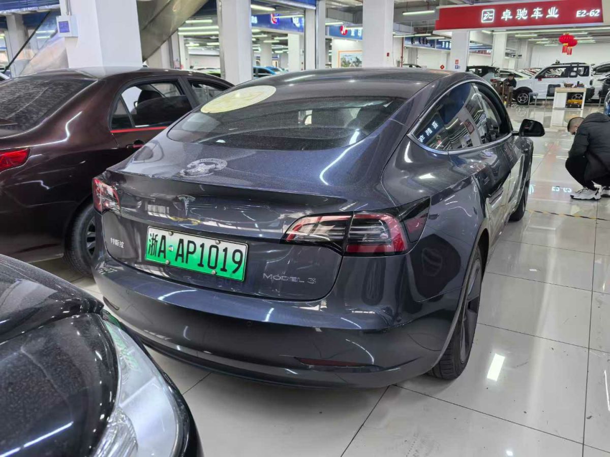 特斯拉 Model 3  2022款 Performance高性能全輪驅(qū)動版圖片