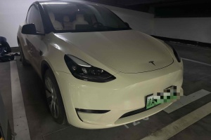 Model Y 特斯拉 改款 标准续航后驱升级版