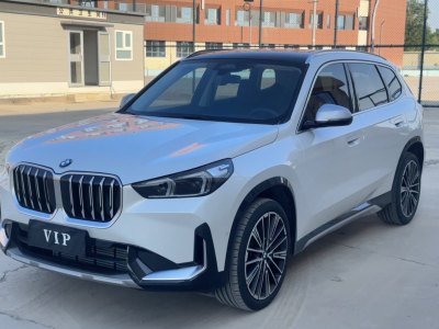 2024年5月 寶馬 寶馬X1 xDrive25Li X設(shè)計(jì)套裝圖片