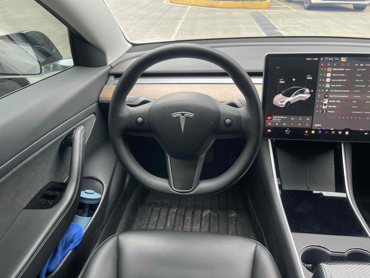 特斯拉 Model 3  2019款 標(biāo)準(zhǔn)續(xù)航后驅(qū)升級版圖片