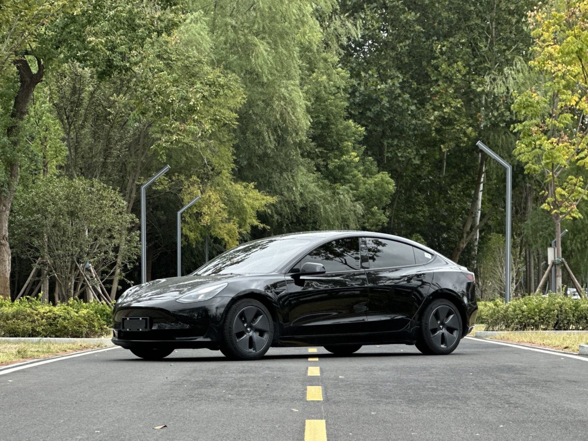 2021年7月特斯拉 Model 3  2019款 標(biāo)準(zhǔn)續(xù)航后驅(qū)升級(jí)版