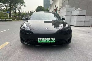 Model S 特斯拉 Performance 高性能版
