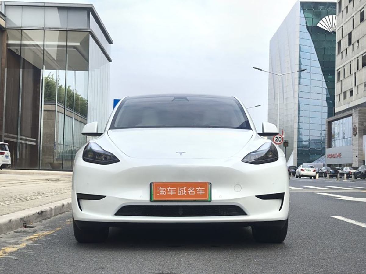 特斯拉 Model 3  2022款 后輪驅(qū)動版圖片