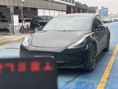 2021年3月 特斯拉 Model 3 標準續(xù)航后驅(qū)升級版 3D6圖片