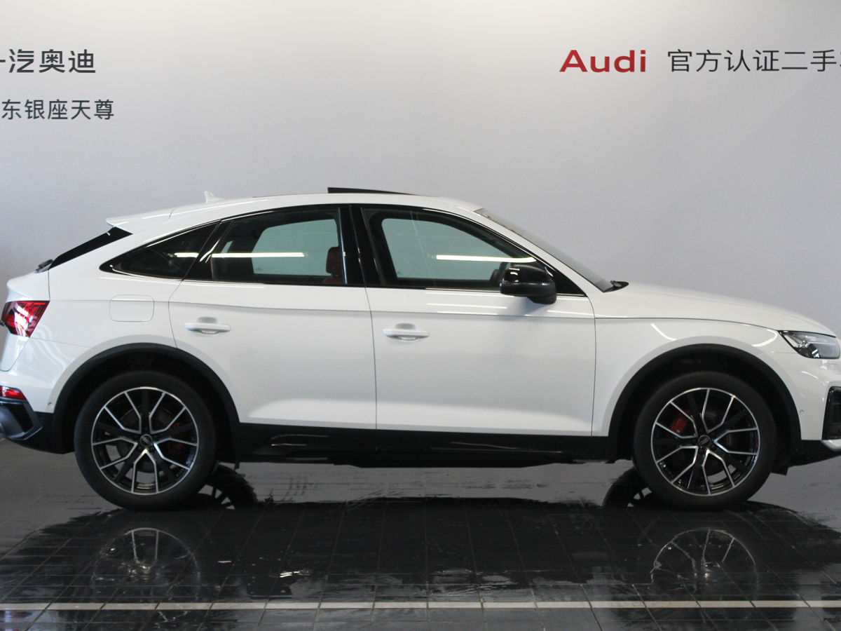 奧迪 奧迪SQ5  2014款 SQ5 3.0 TFSI quattro圖片