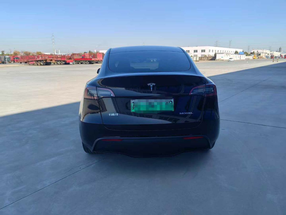 特斯拉 Model Y  2024款 Performance高性能版圖片