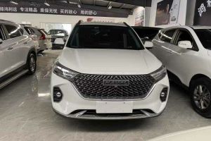 H9 哈弗 2.0T 汽油四驅(qū)尊享型 5座