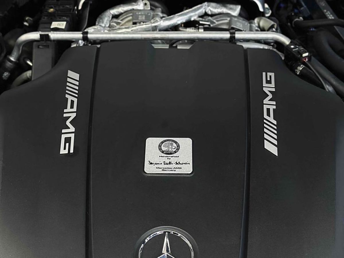 奔馳 奔馳AMG GT  2019款 AMG GT圖片