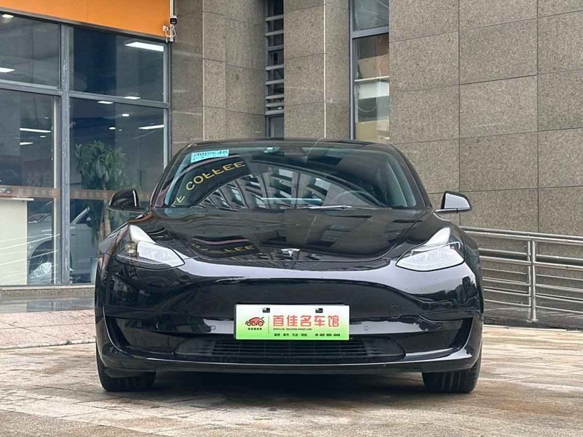 特斯拉 Model 3  2021款 標(biāo)準(zhǔn)續(xù)航后驅(qū)升級(jí)版 3D6圖片