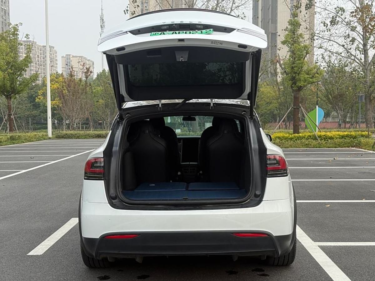 2021年1月特斯拉 Model X  2020款 長(zhǎng)續(xù)航升級(jí)版