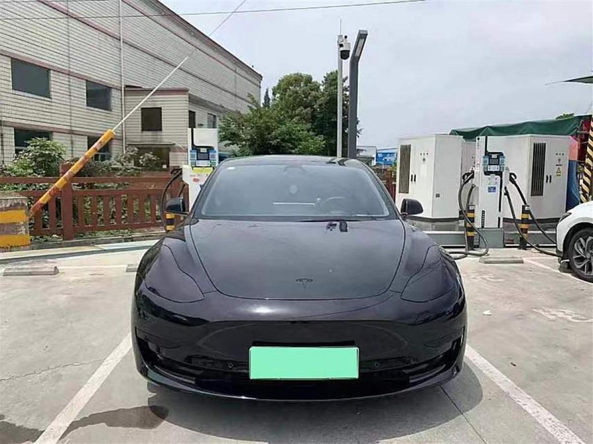 特斯拉 Model 3  2020款 改款 標準續(xù)航后驅(qū)升級版圖片